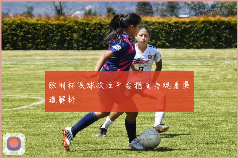 欧洲杯滚球投注平台指南与观看渠道解析