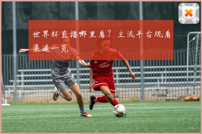 世界杯直播哪里看？主流平台观看渠道一览